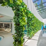 Fagus Conference & Отель 4*