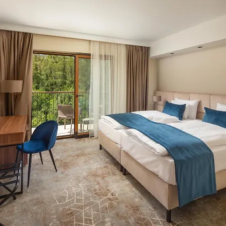 Fagus Conference&spa Hotel 4*