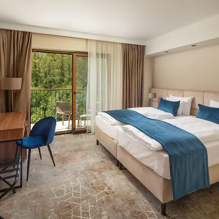 Ξενοδοχείο Fagus Conference & Σόπρον