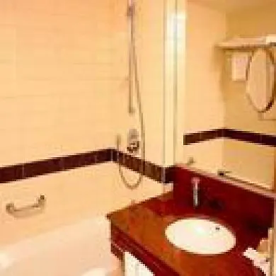 فندق Fagus Conference & 4*