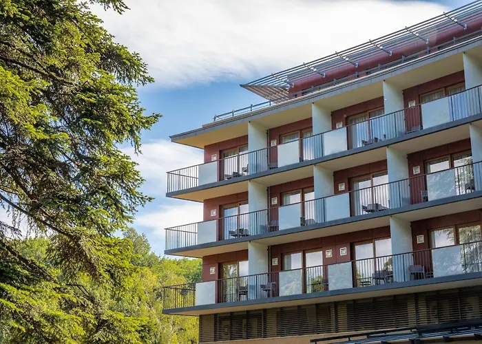 Fagus Conference & 4*