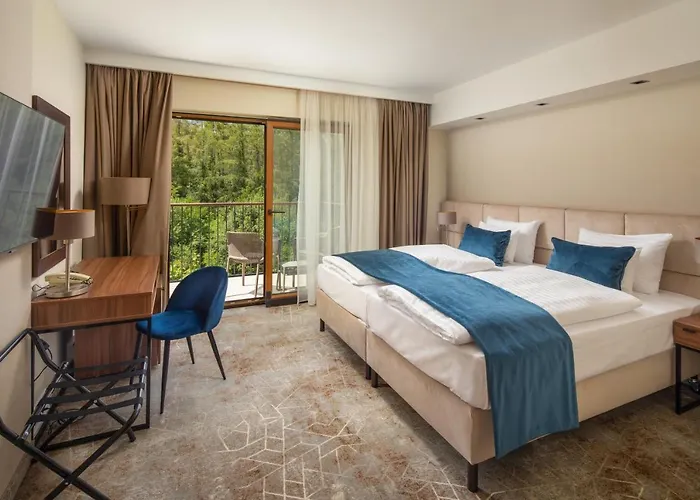 Fagus Conference & Hotel 4*