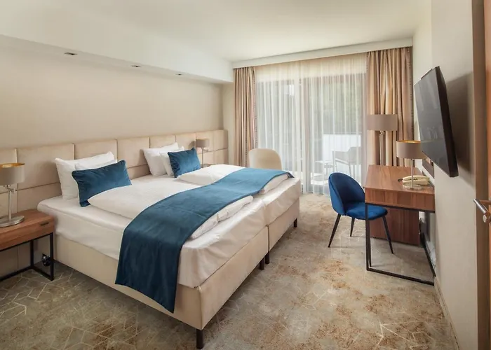 Fagus Conference&spa Hotel Ödenburg