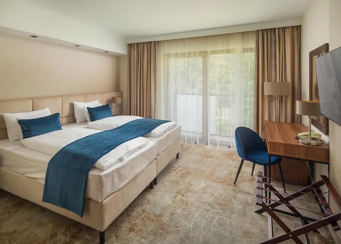 Fagus Conference & 4*