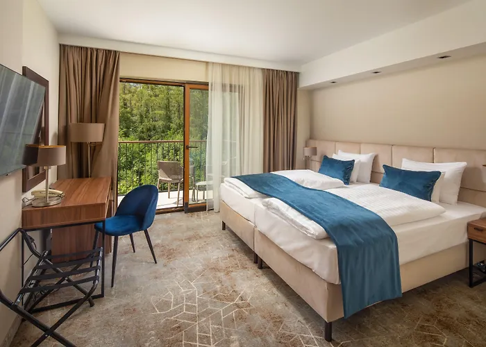 Szálloda Fagus Conference & Sopron